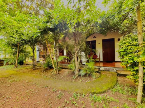 Woodholic Homestay